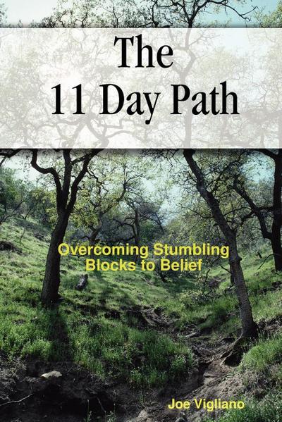 The 11 Day Path - Joe Vigliano