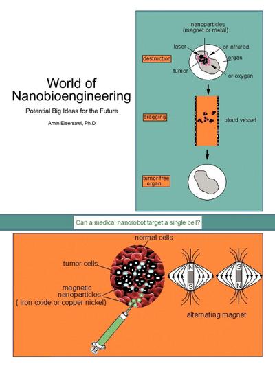 World of Nanobioengineering : Potential Big Ideas for the Future - Amin Elsersawi Ph. D