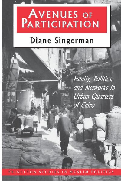 Avenues of Participation : Family, Politics, and Networks in Urban Quarters of Cairo - Diane Singerman