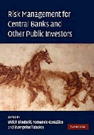 Risk Management for Central Banks and Other Public Investors - Ulrich Bindseil