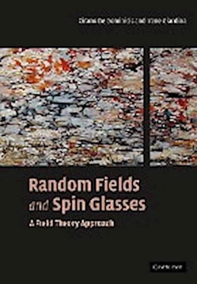 Random Fields and Spin Glasses : A Field Theory Approach - Cirano De Dominicis