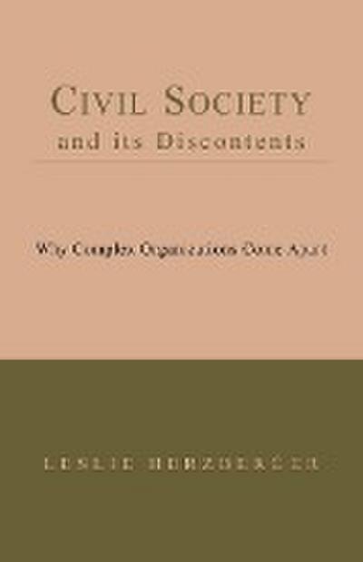 Civil Society and Its Discontents - Leslie Herzberger