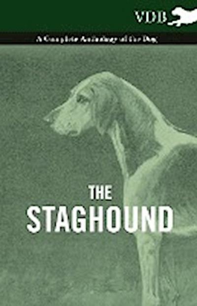 The Staghound - A Complete Anthology of the Dog - Various