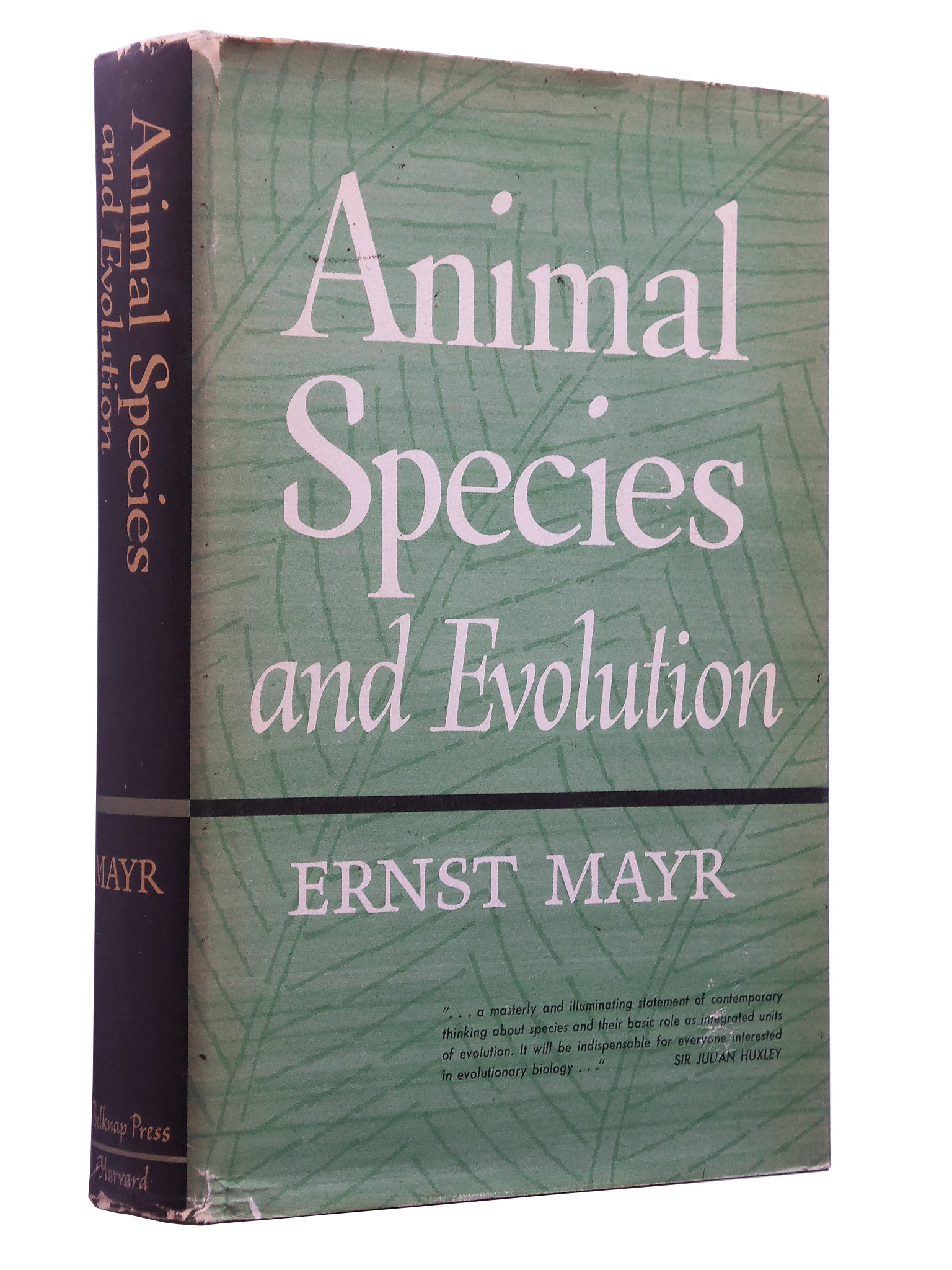 Animal Species and Evolution by Mayr, Ernst: Near Fine Hardcover (1963) 1st  Edition | Bowman Books