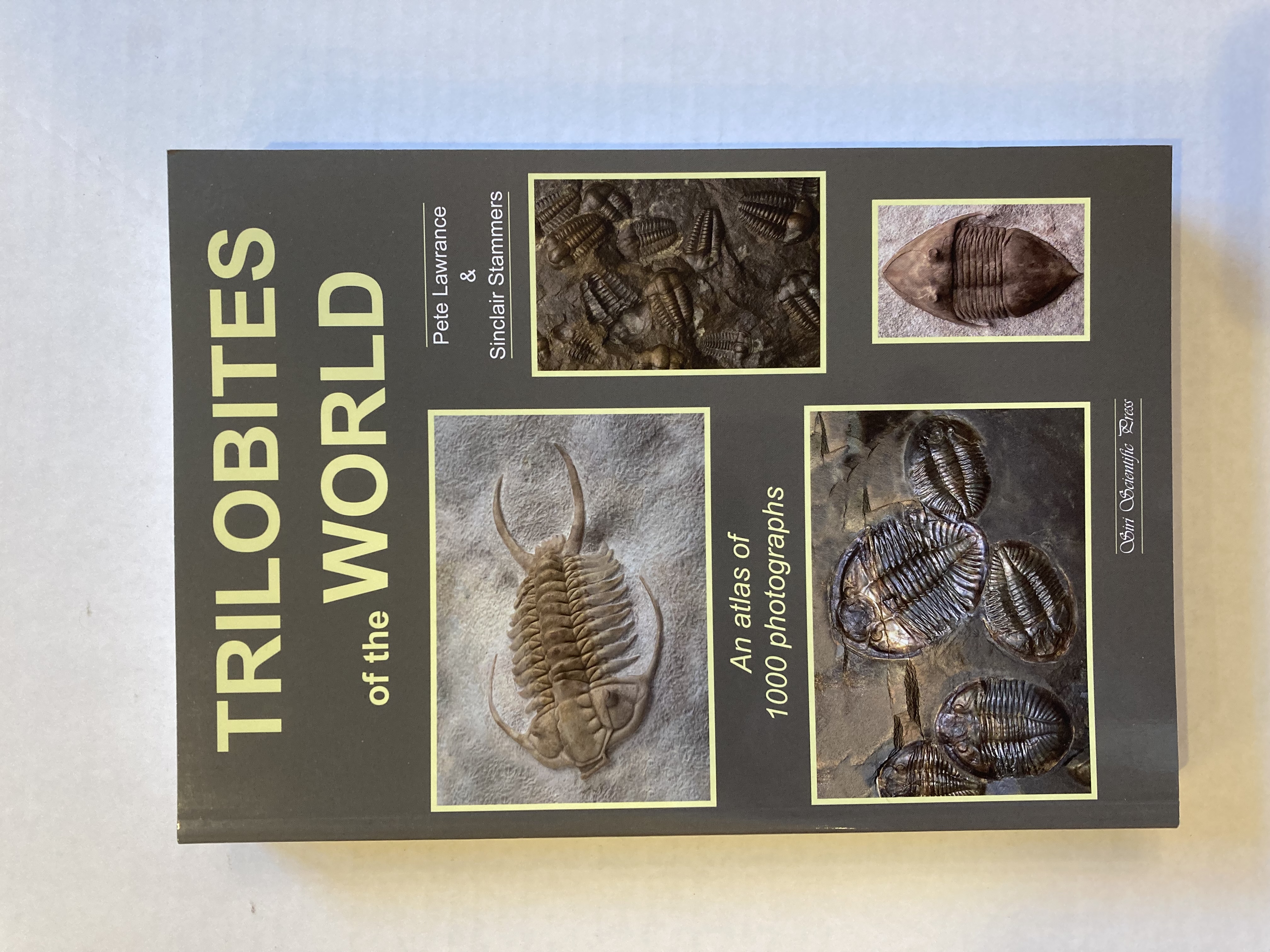 Trilobites A Photographic Atlas 三葉虫 化石 本