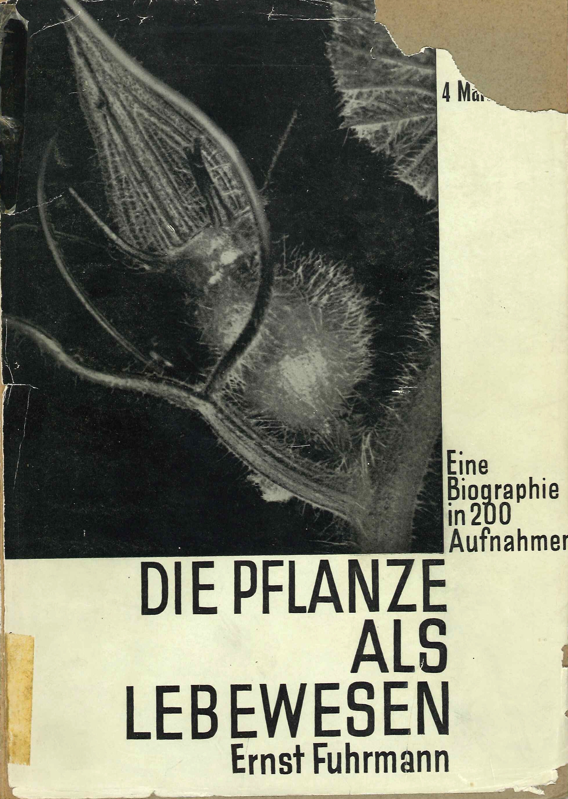Die Pflanze Als Lebewesen. Eine Biographie in 200 Aufnahmen. von Ernst  Fuhrmann: (1930) | Libro Co. Italia Srl