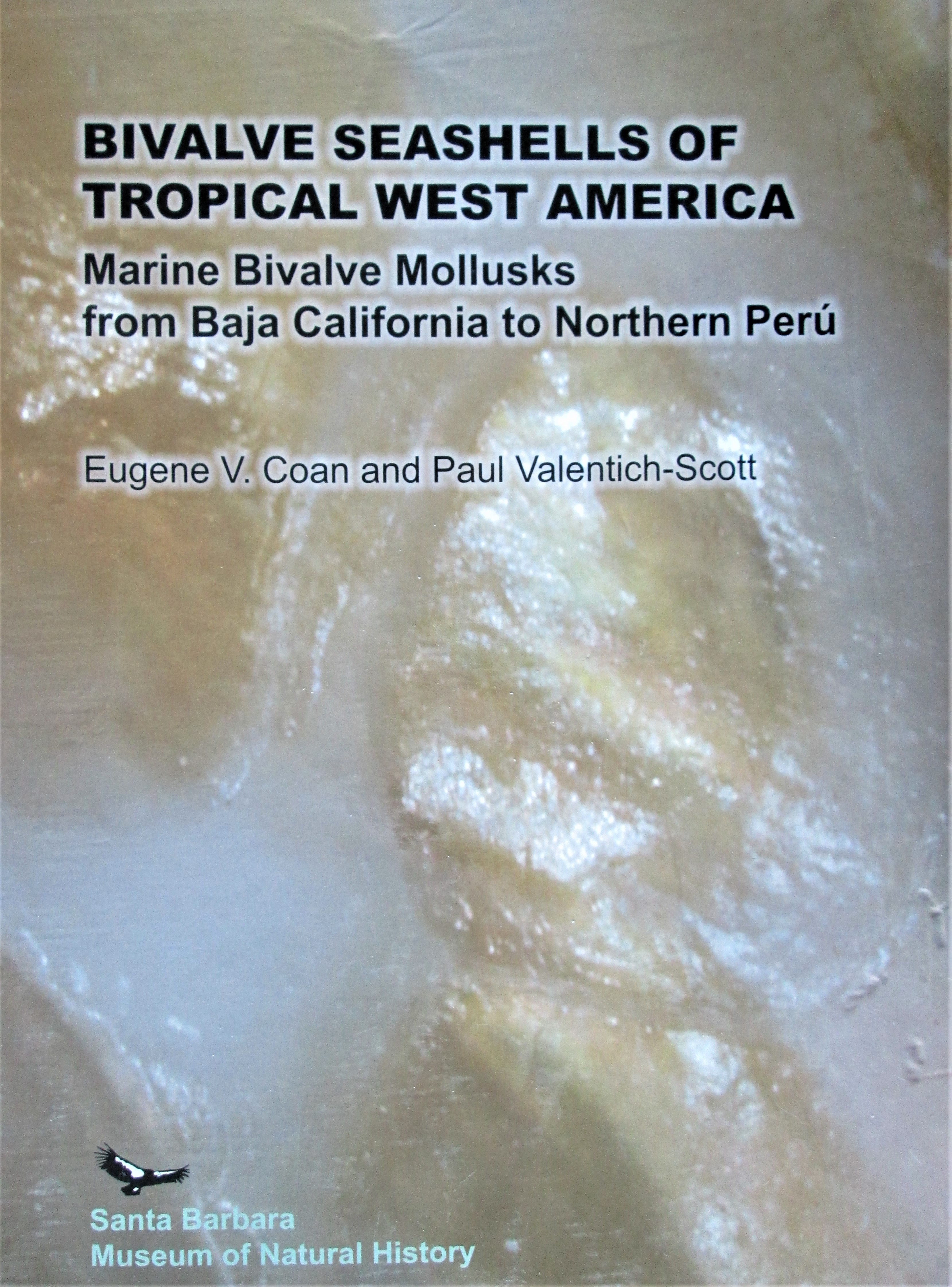 Bivalve Seashells of Tropical West America: Marine Bivalve Mollusks from Baja California to Northern Peru - Coan, Eugene V. and Paul Valentich-Scott