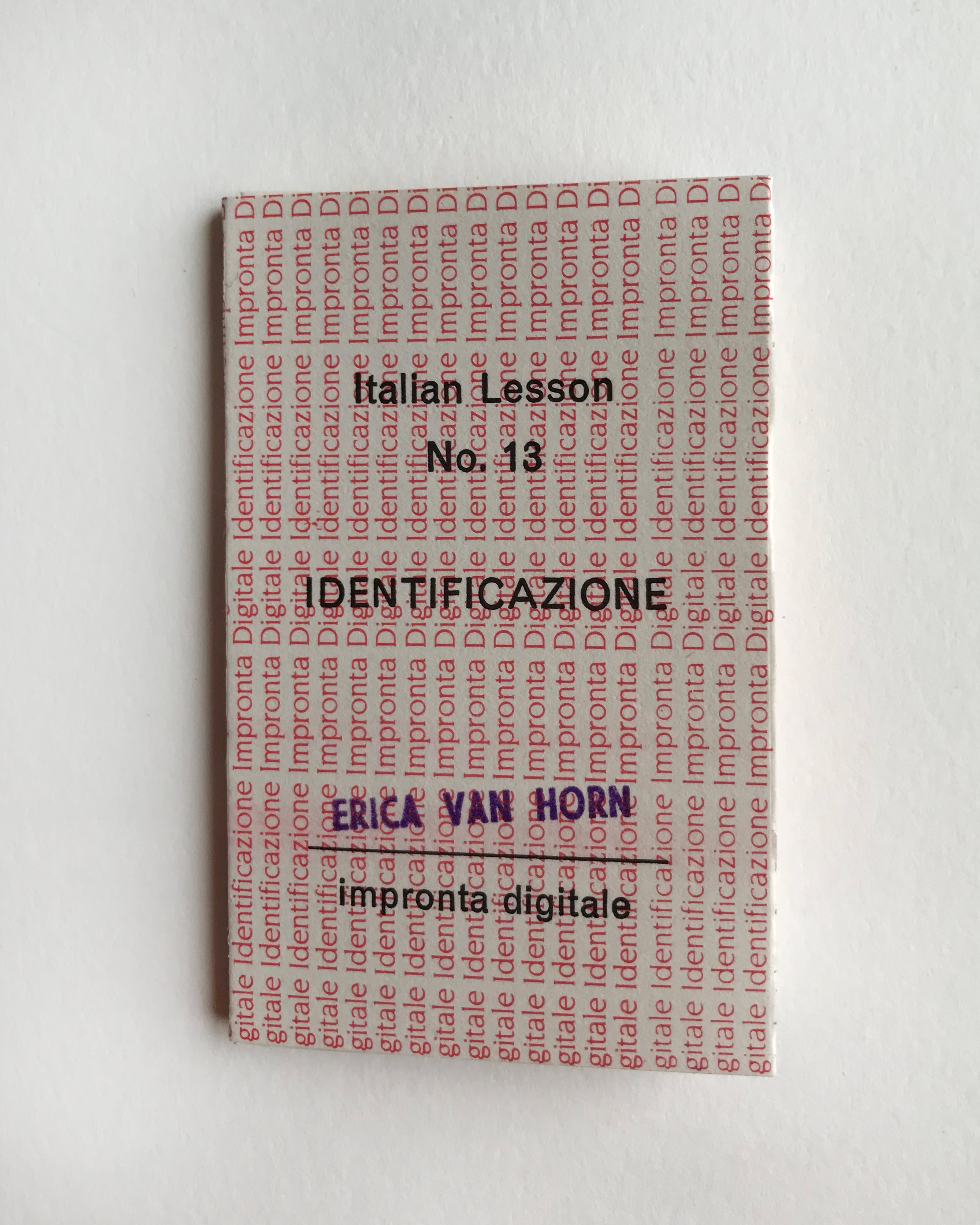 IDENTIFICAZIONE - Italian Lesson No. 13 Erica van Horn [Near Fine]