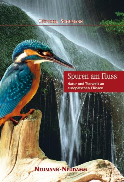 Spuren am Fluss - Schumann, Günther