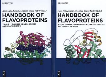 Set: Handbook of Flavoproteins - Hille, Russ|Miller, Susan|Palfey, Bruce