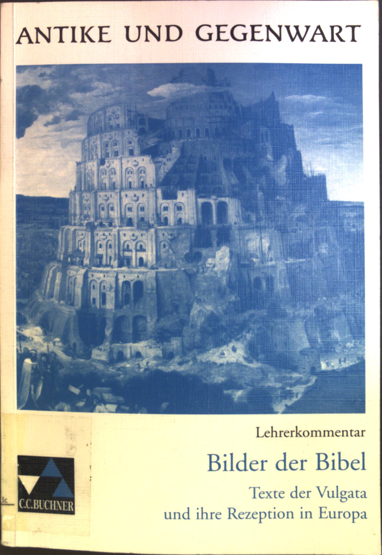 Bilder der Bibel: Texte der Vulgata und ihre Rezeption in Europa - Kopp, Florian