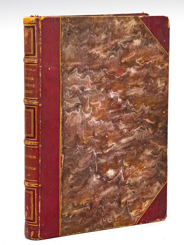 Atlas d'Anatomie descriptive du Corps Humain. Quatrième Partie : Appareil génito-urinaire, organes de la respiration. BONAMY, C. ; BROCA, Paul ; BEAU