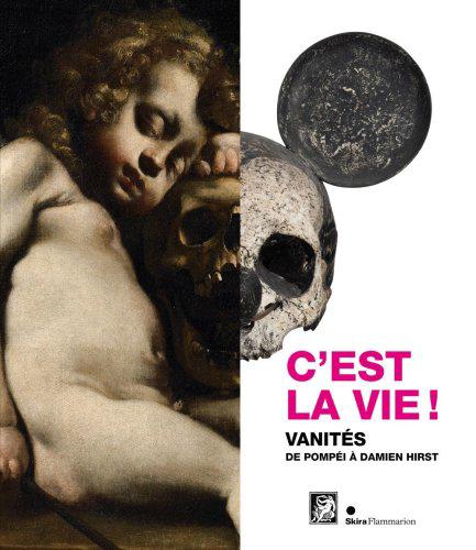 C'est la vie !: Vanités de Pompéï à Damien Hirst - Nitti, Patrizia,Quin, Elisabeth,Tapié, Alain,Collectif