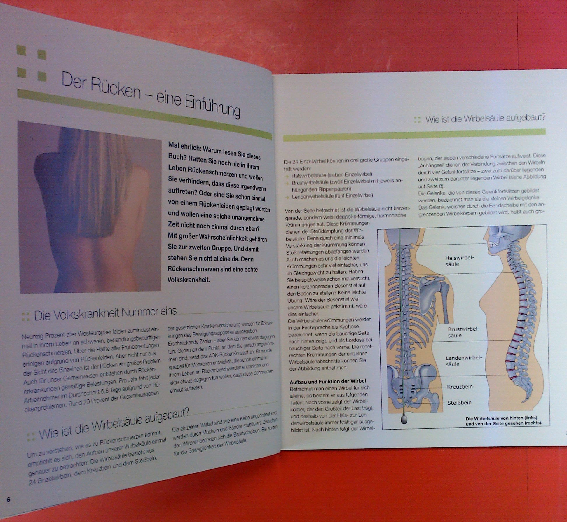Ihr Begleitbuch für das AOK-Rücken-Konzept, wir stärken Ihnen den ...
