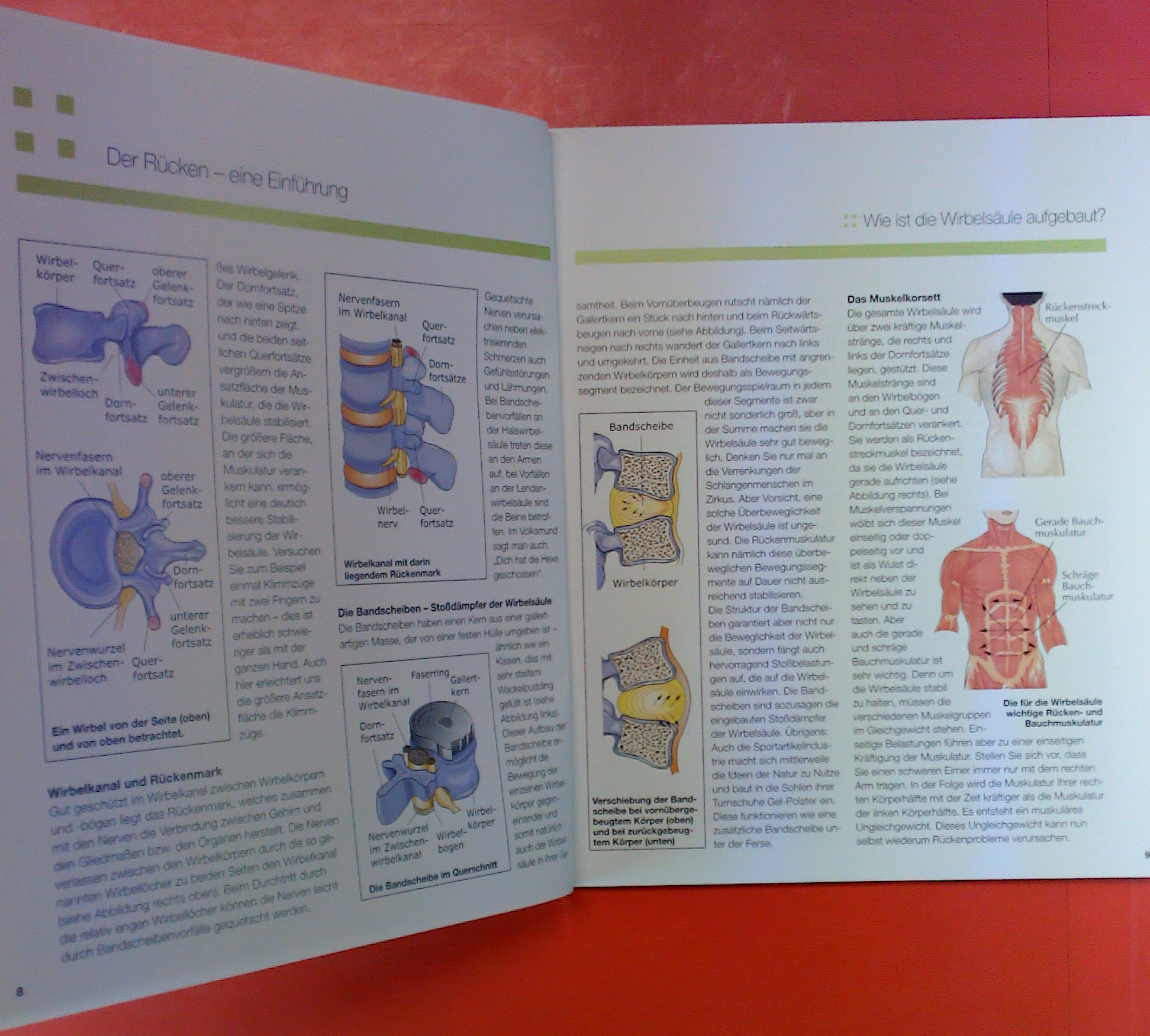 Ihr Begleitbuch für das AOK-Rücken-Konzept, wir stärken Ihnen den ...