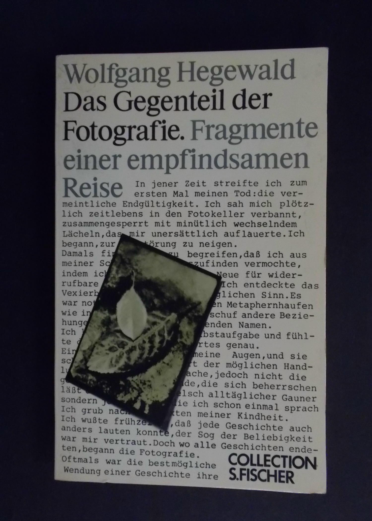 Das Gegenteil der Fotografie - Fragmente einer empfindsamen Reise - Hegewald, Wolfgang