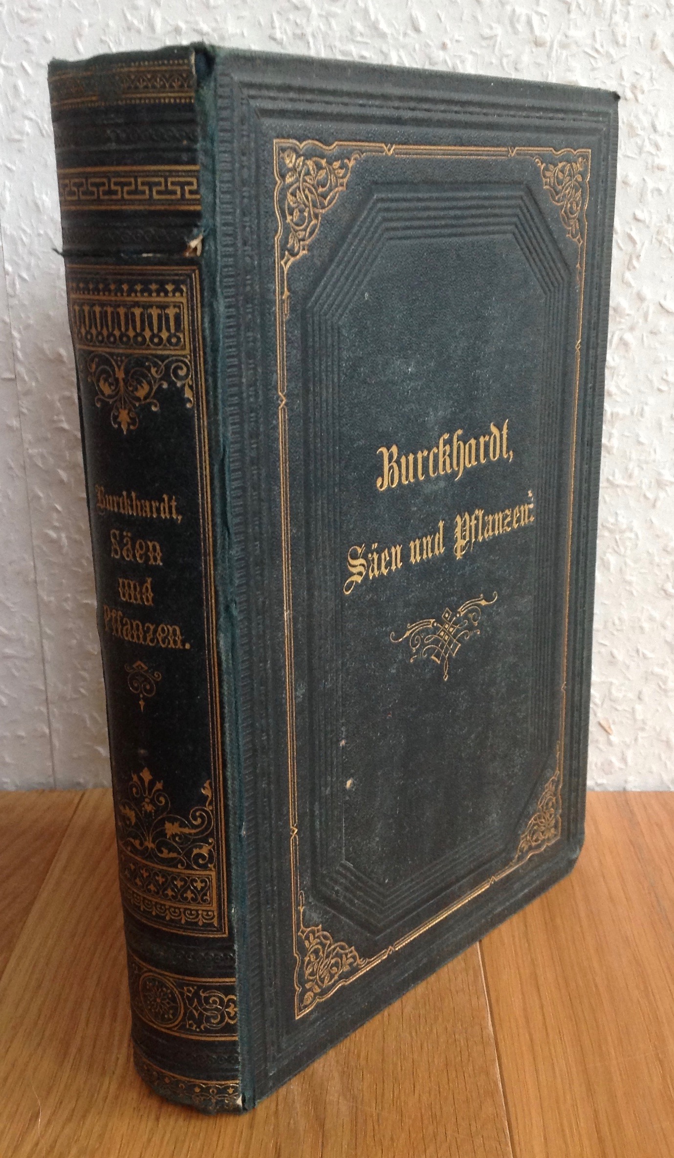 Säen und Pflanzen nach forstlicher Praxis. Handbuch der Holzerziehung. Forstwirthen, Forstbesitzern und Freunden des Waldes gewidmet. - Burckhardt, Heinrich