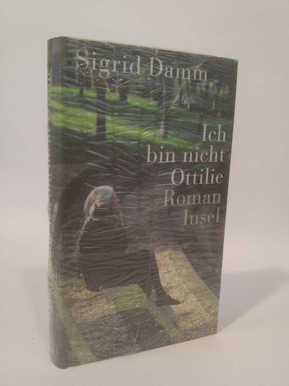 Ich bin nicht Ottilie. Roman - Damm, Sigrid