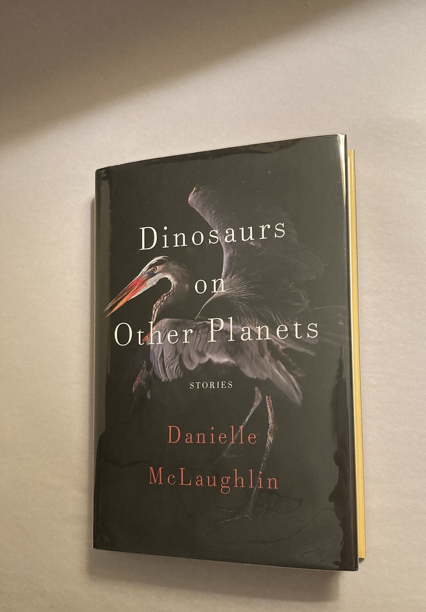 danielle mclaughlin dinosaurs on other planets