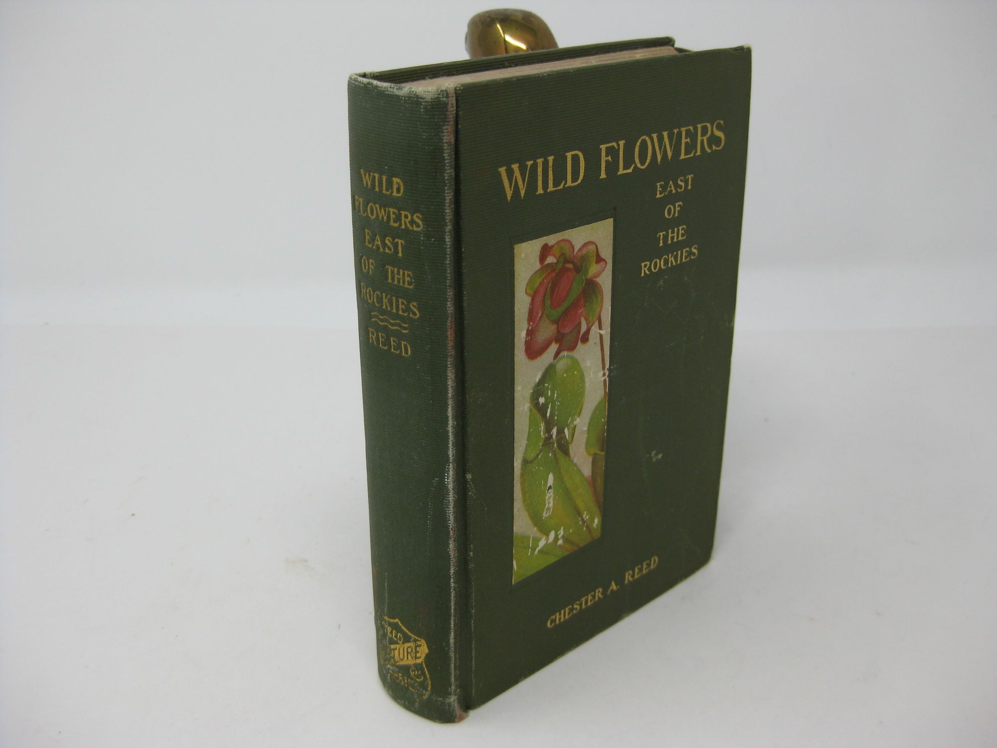 WILD FLOWERS EAST OF THE ROCKIES Reed, Chester A. [Very Good] [Hardcover]