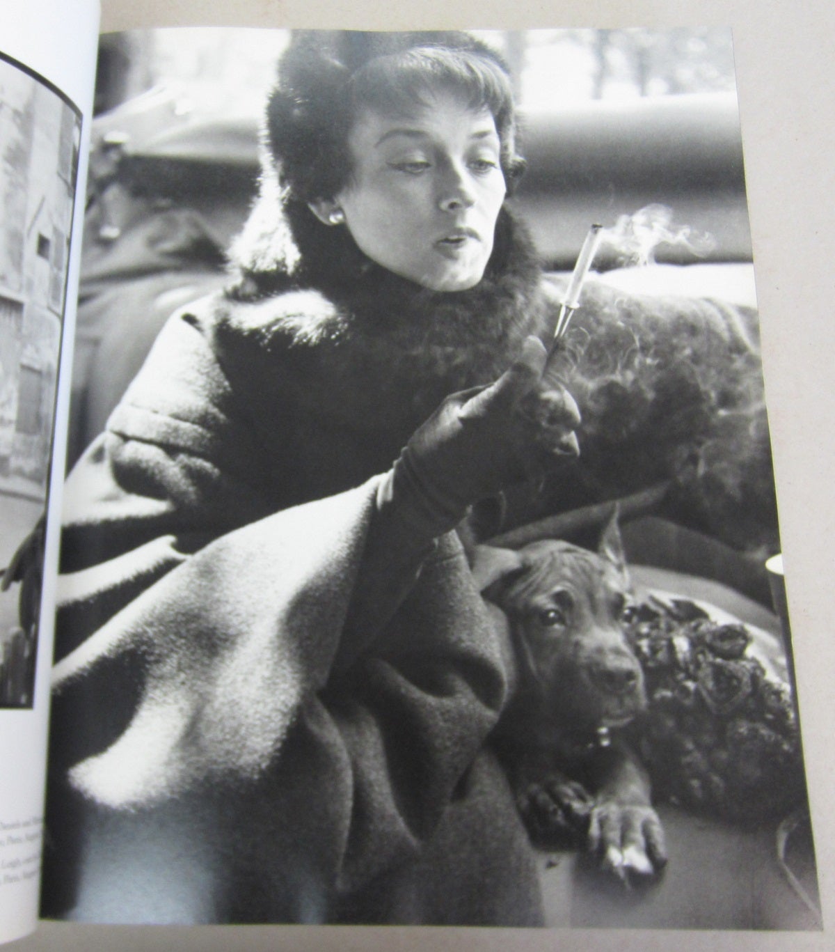 Avedon Fashion 1944-2000 Avedon Fashion 1944-2000