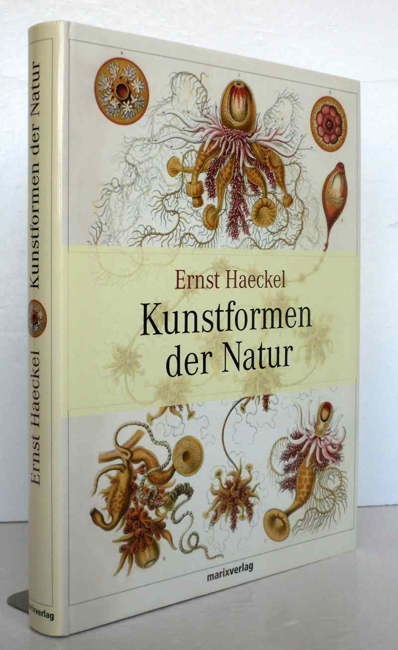 Kunstformen der Natur