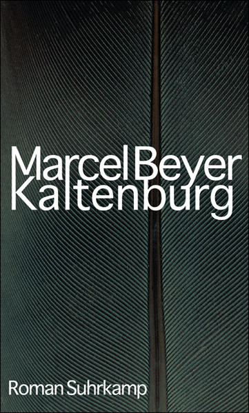 Kaltenburg Roman - Beyer, Marcel