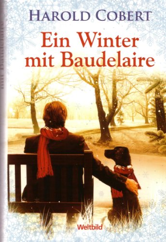 Ein Winter mit Baudelaire. Roman