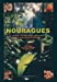 Nouragues: Dynamics and Plant-Animal Interactions in a Neotropical Rainforest (Monographiae Biologicae) [Hardcover ]