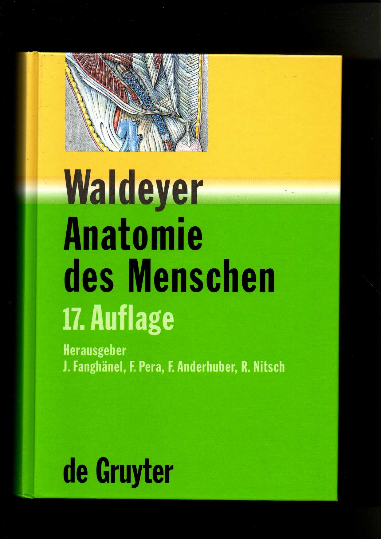 Waldeyer, Anatomie des Menschen - Lehrbuch und Atlas in einem Band / 17. Auflage - Waldeyer