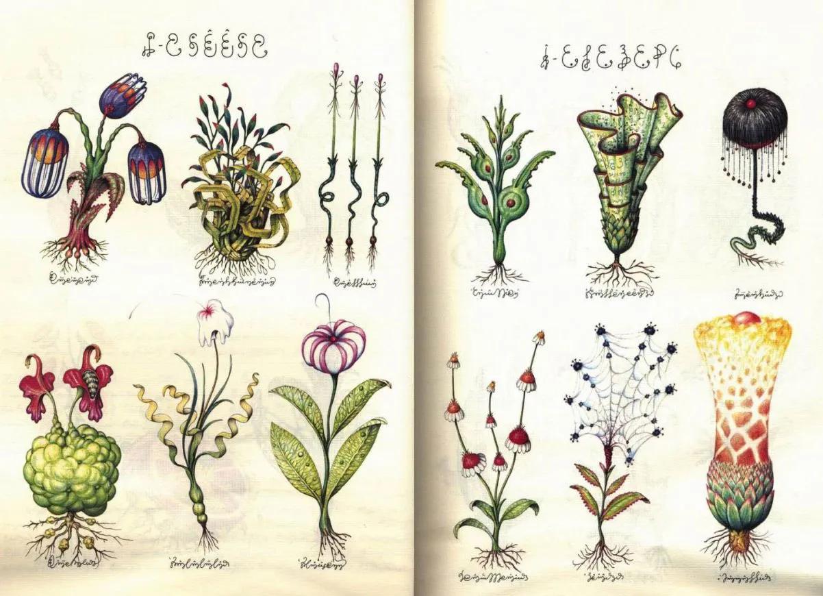 CODEX SERAPHINIANUS 40th Anniversary Edition by Serafini, Luigi: New  Hardcover (2021) 1st Edition