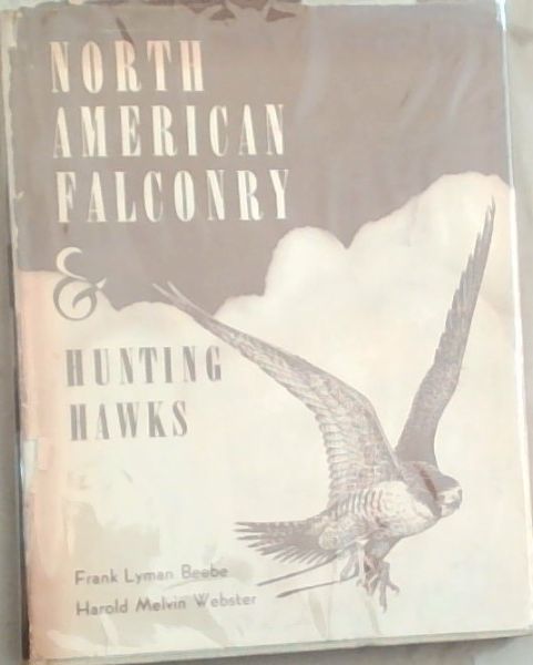 North American Falconry & Hunting Hawks