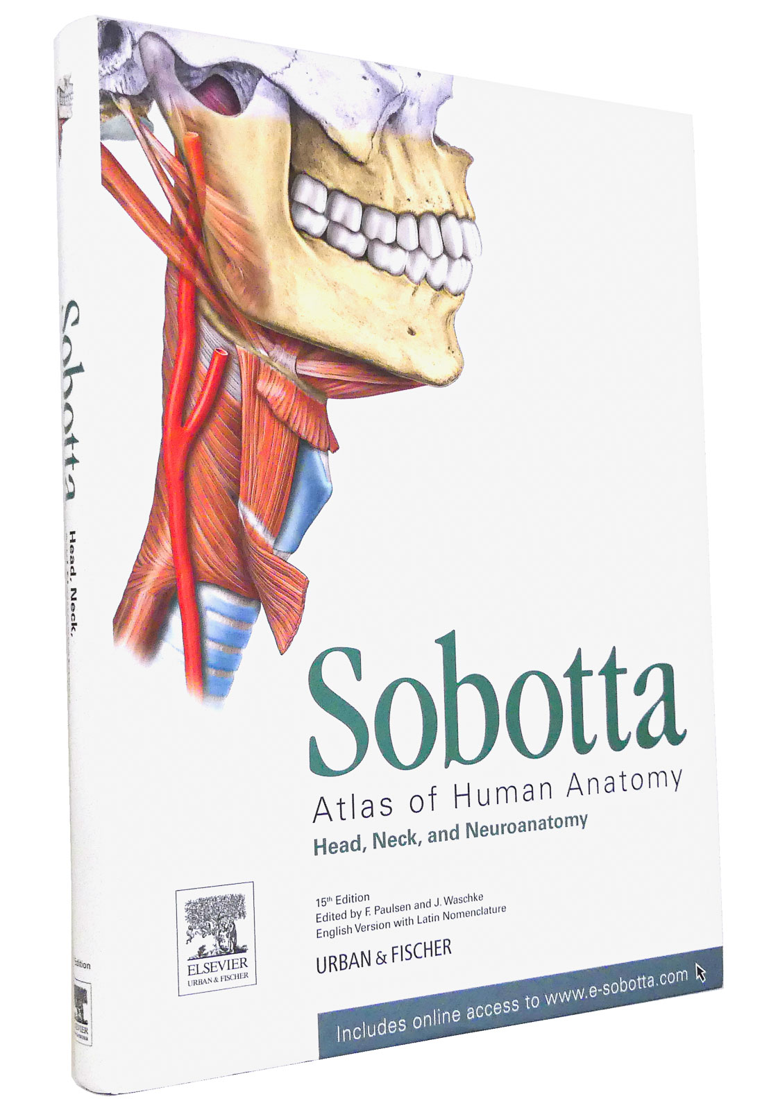Sobotta (Volume 3) - Atlas of Human Anatomy: Head, Neck, and Neuroanatomy (English Version with Latin Nomenclature) - Paulsen, Friedrich [Hg.]; Waschke, Jens [Hg.]