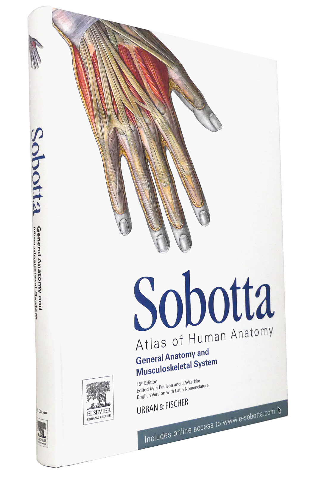 Sobotta (Volume 1) - Atlas of Human Anatomy: General Anatomy and Musculoskeletal System (English Version with Latin Nomenclature) - Paulsen, Friedrich [Hg.]; Waschke, Jens [Hg.]