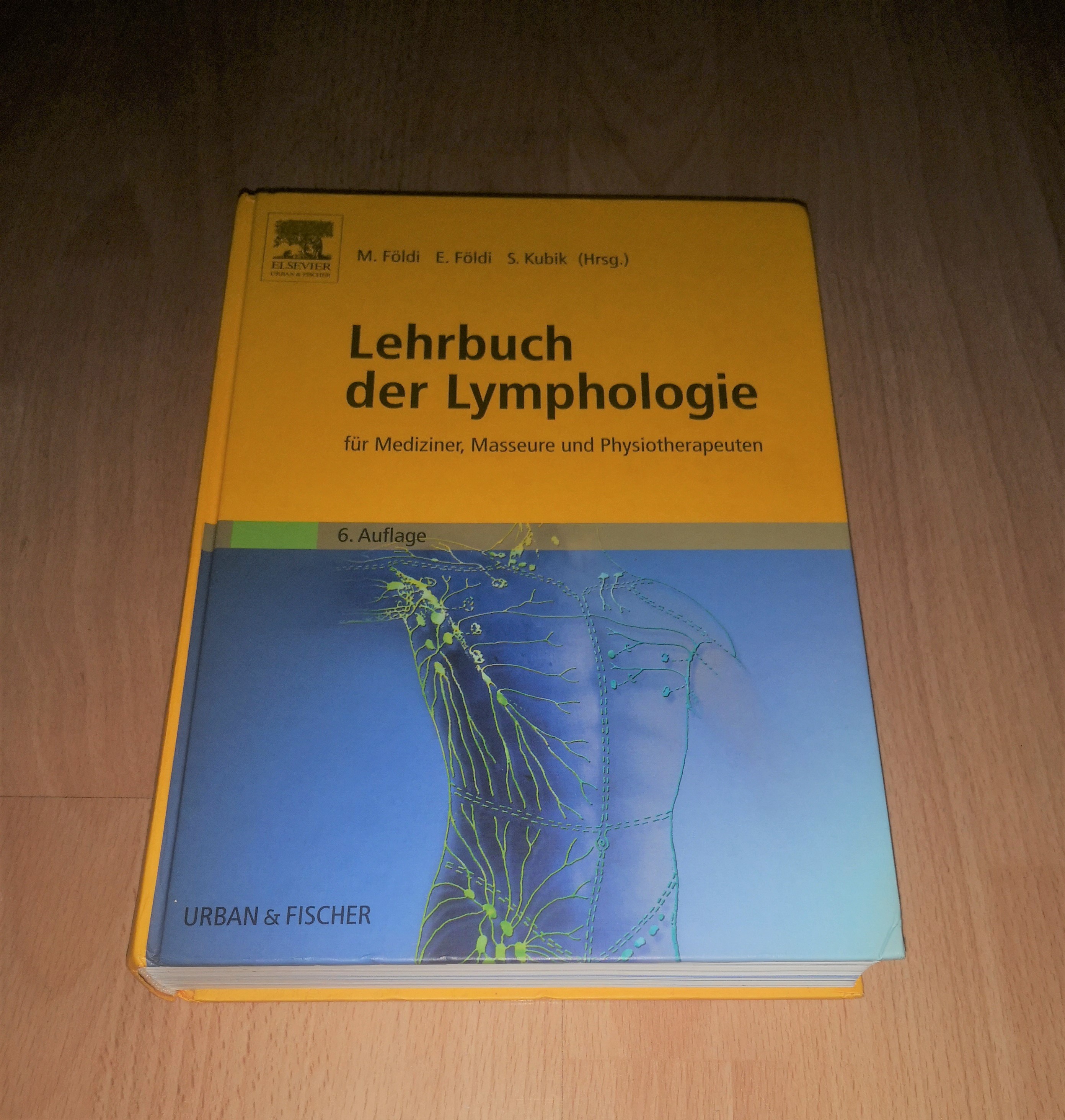 Földi, Kubik, Lehrbuch der Lymphologie für Mediziner, Masseure Physiotherapeuten - Földi und Kubik