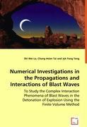 Numerical Investigations in the Propagations and Interactions of Blast Waves - Lo, Shi-Wei|Wei Lo, Shi|Tai, Chang Hsien