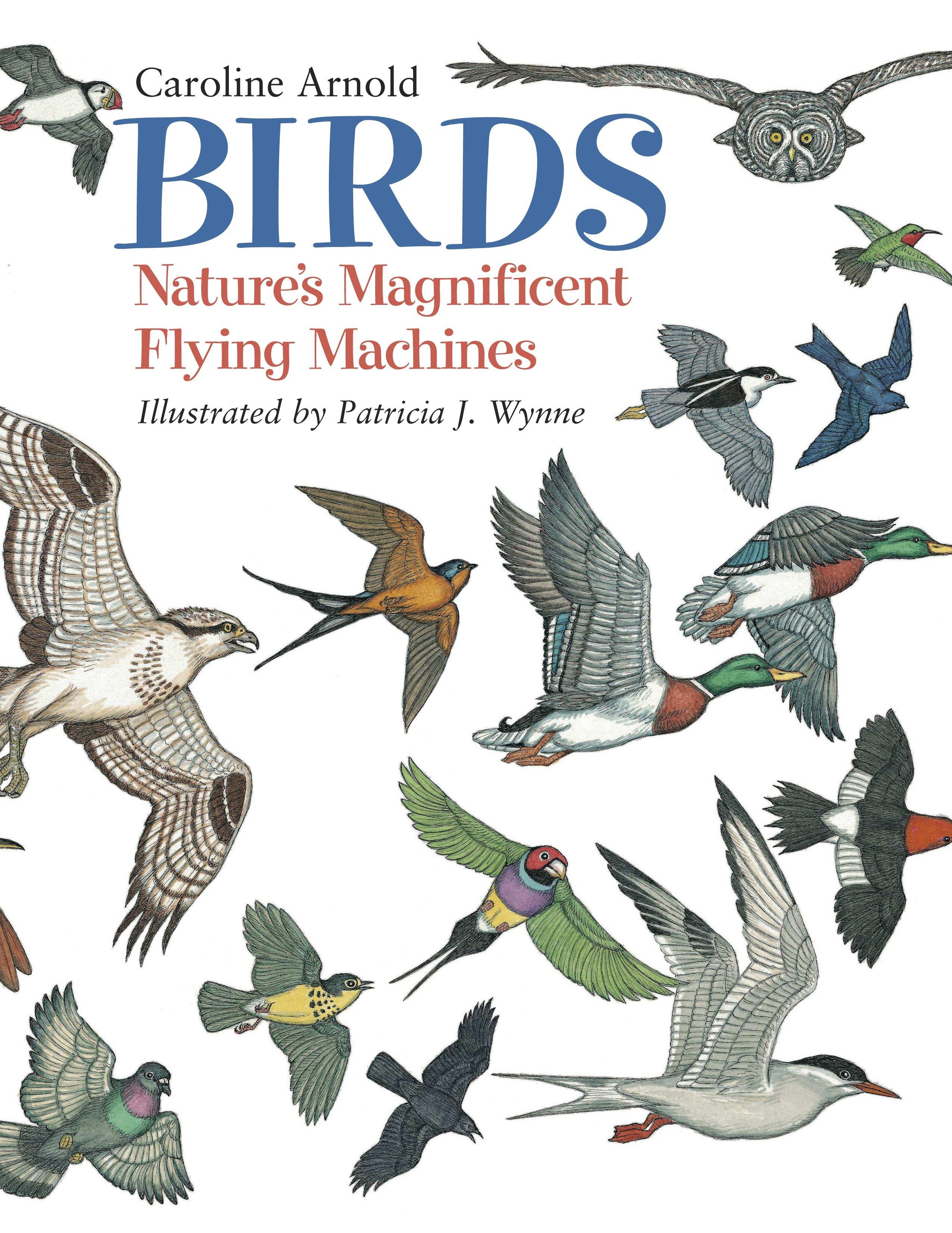 Birds: Nature\\ s Magnificent Flying Machine - Caroline Arnold