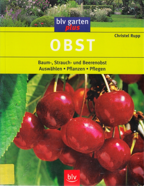 Obst : Baum-, Strauch- und Beerenobst - Auswählen Pflanzen Pflegen. - Rupp, Christel