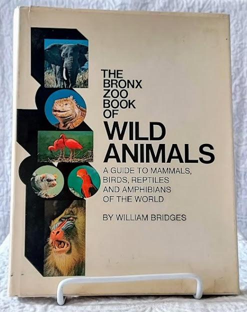 the bronx zoo book review