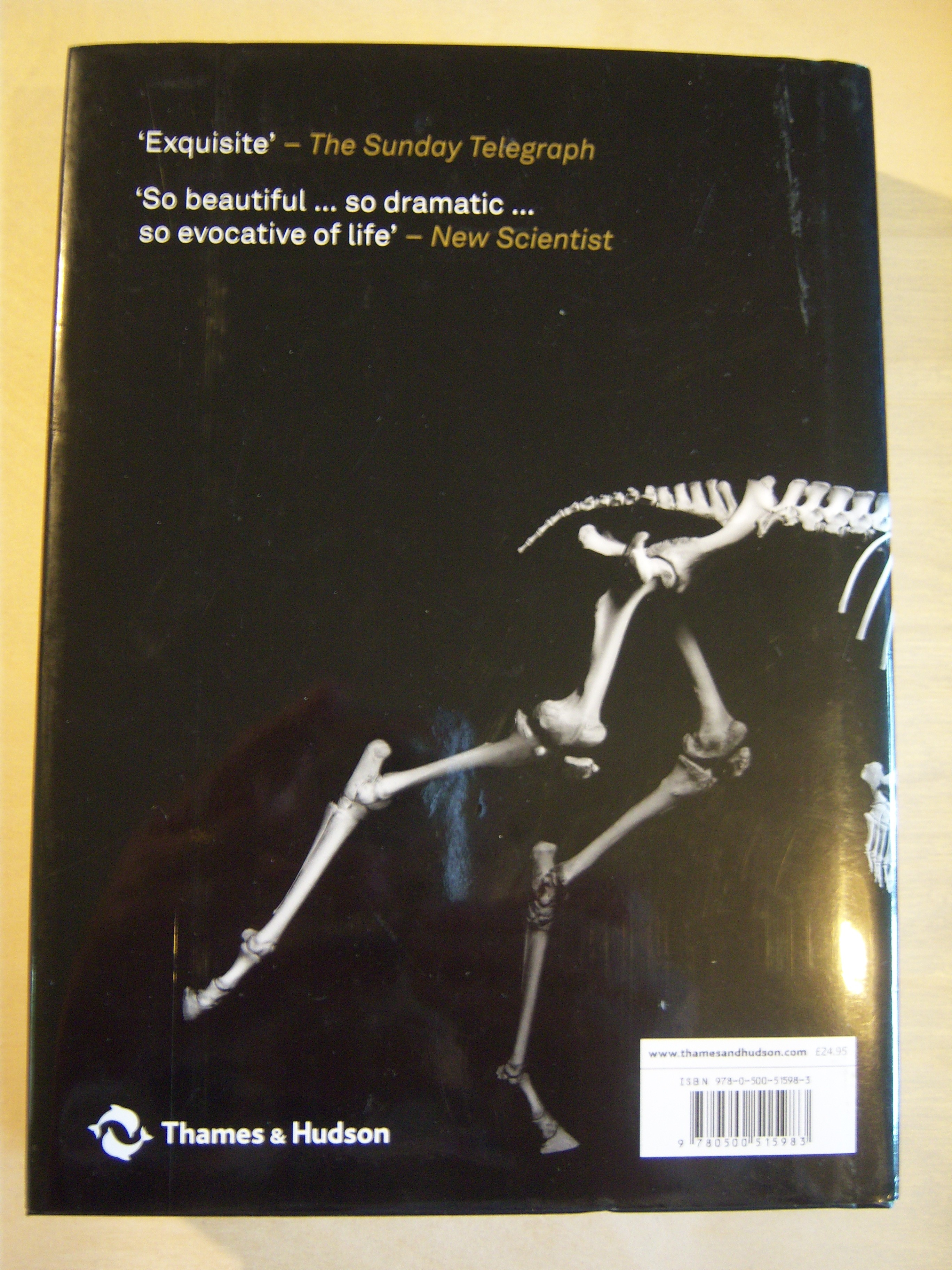 Evolution in action: natural history through spectacular skeletons 