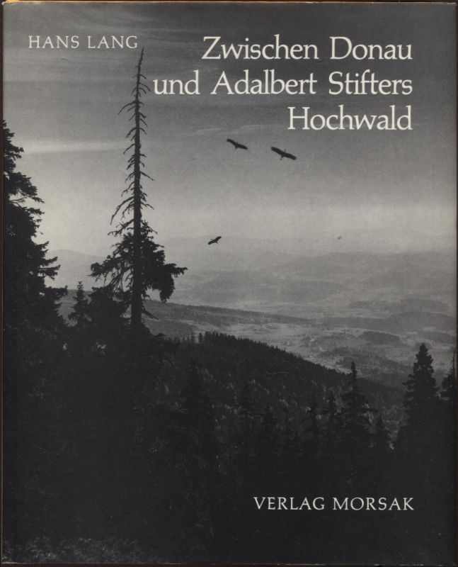 Zwischen Donau und Adalbert Stifters Hochwald . mittagwärts von dem Plöckensteine - Lang, Hans