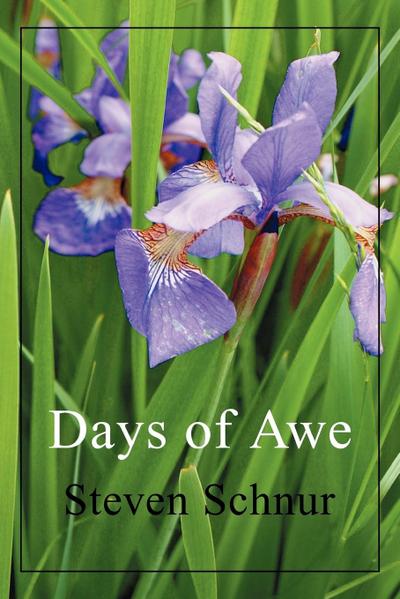 Days of Awe - Steven Schnur