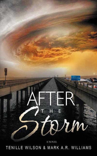 After the Storm - Tenille Wilson