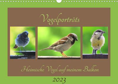 Vogelporträts - Heimische Vögel auf meinem Balkon (Wandkalender 2023 DIN A3 quer) : Freuen Sie sich über die kleinen Vogelgesellen aus Ihrem Garten (Monatskalender, 14 Seiten ) - Claudia Schimmack