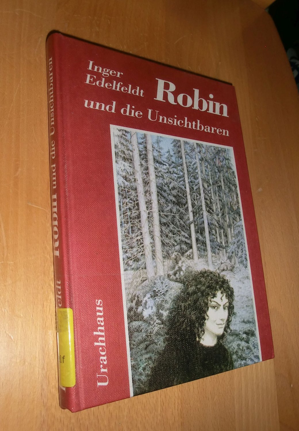 Robin und die Unsichtbaren - Edelfeldt, Inger