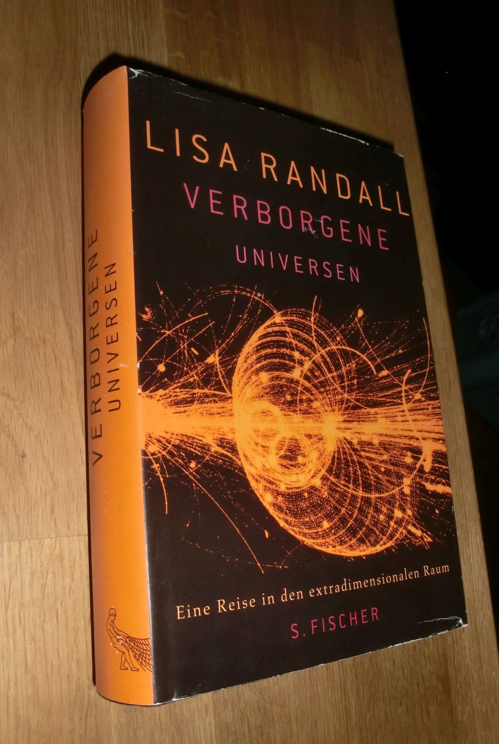 Verborgene Universen - Eine Reise in den extradimensionalen Raum - Lisa Randall
