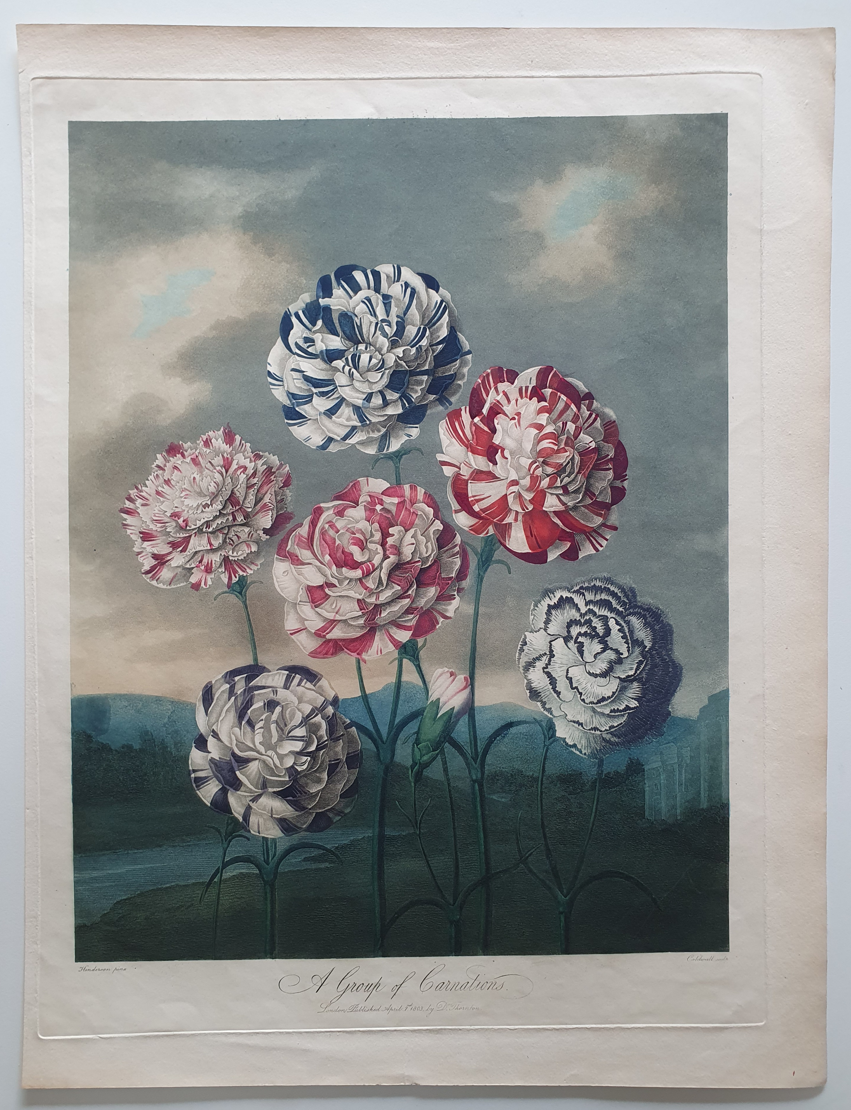 The Temple of Flora, or Garden of the Botanist by Thornton The Temple of Flora, or Garden of the Botanist by Thornton