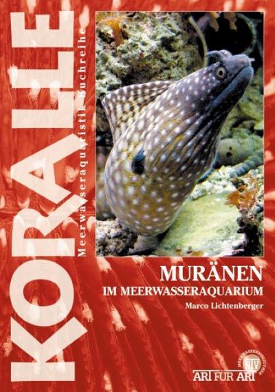 Muränen im Meerwasseraquarium - Marco Lichtenberger