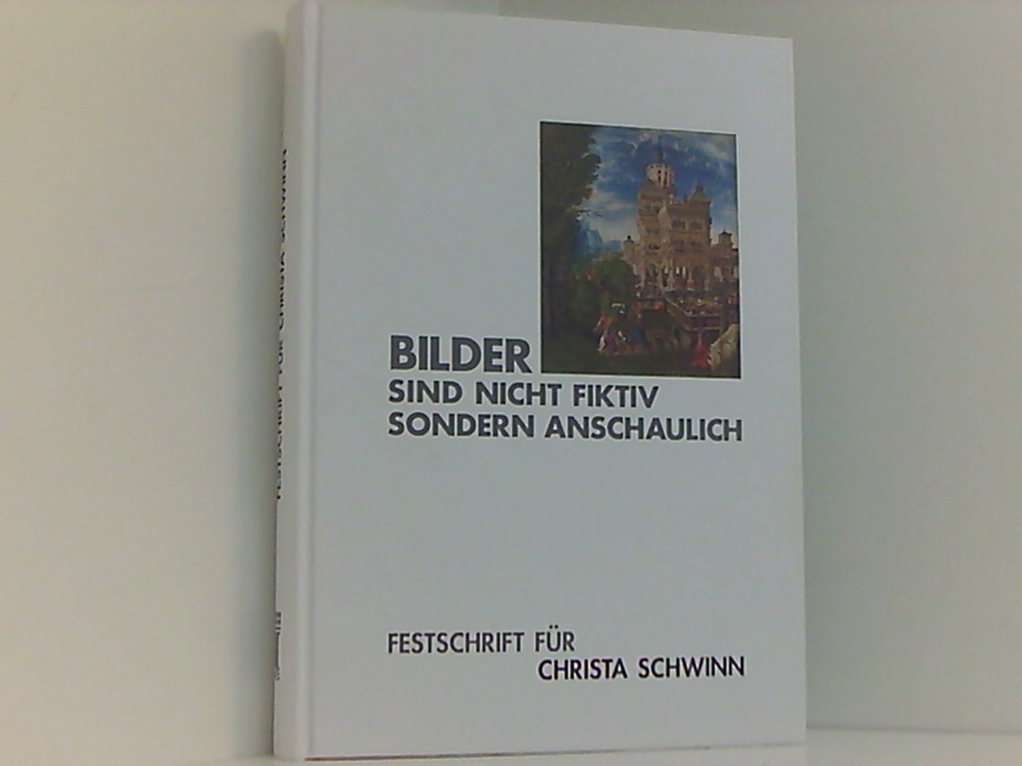 Bilder sind nicht fiktiv, sondern anschaulich: Festschrift für Christa Schwinn - Besch, Ingeborg, von Bothmer Hans C Yvonne Schülke u. a.