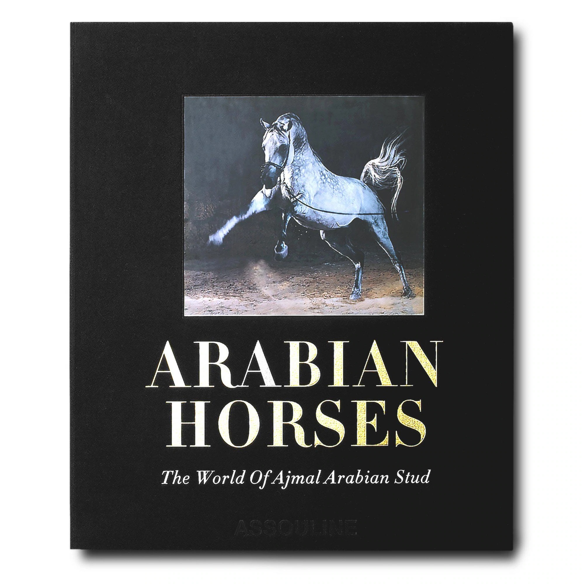Arabian Horses (Ultimate) - Judith E. Forbis